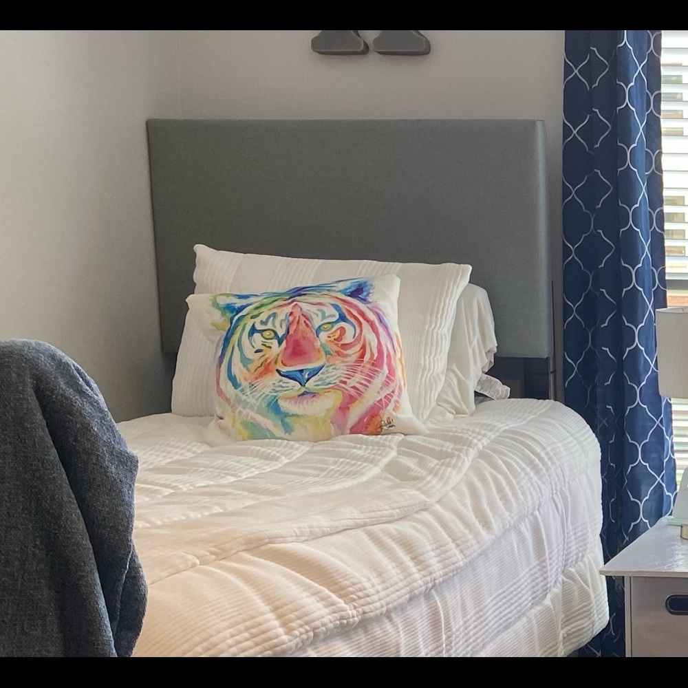 Pottery Barn Teen twin/twin XL white cloud comforter and one sham